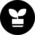 生活感悟